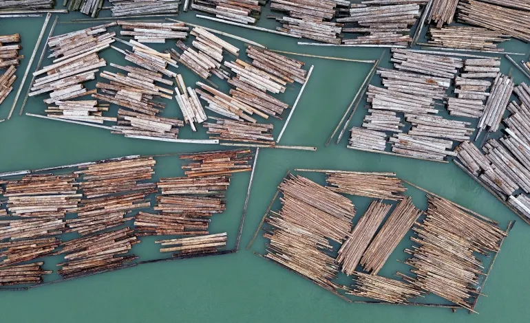 A drone view of log booms on the Fraser River, as U.S. President Donald Trump announced a three-day pause on a new round of 50% U.S. tariffs on Canadian goods, in Vancouver, British Columbia, Canada, August 19, 2026. REUTERS/Jennifer Gauthier